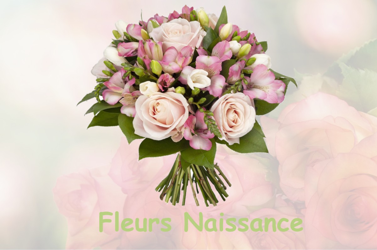 fleurs naissance SAINT-CRICQ-CHALOSSE